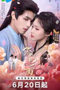 Endless Love Chinese Drama (2026)