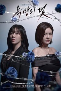 A Trap Called Desire (2026)