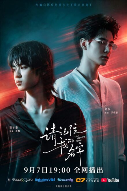 Poster of The Missing Piece (2026)