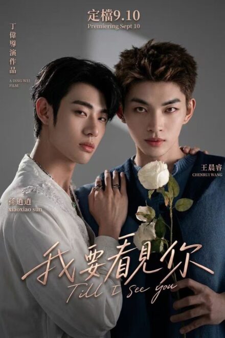 Till I See You (2026)