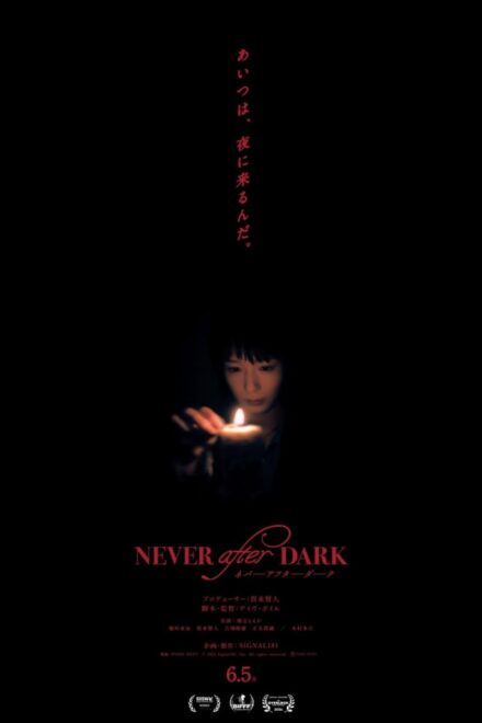 Never after Dark (2026)