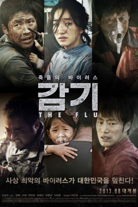 Poster of The Flu (2013)